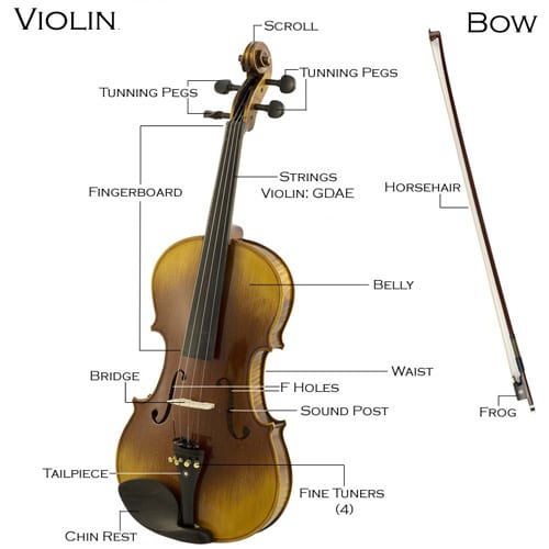 小提琴 初學 者