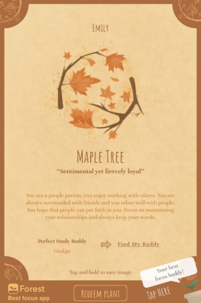 心理測驗-小編測試結果：Maple Tree楓葉樹