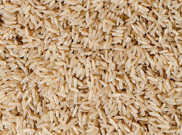 米飯種類
