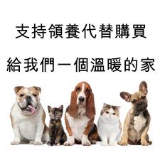 Read more about the article 【寵物領養】想養寵物？唔好再攞錢買啦！領養最好！
