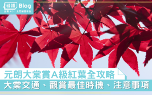 Read more about the article 【大棠紅葉】2021年賞紅葉攻略！A級元朗大棠紅葉快來了！