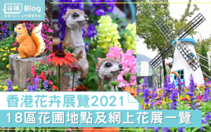 Read more about the article 【花卉展覽2021】18區花圃地點指南 特設網上花展！