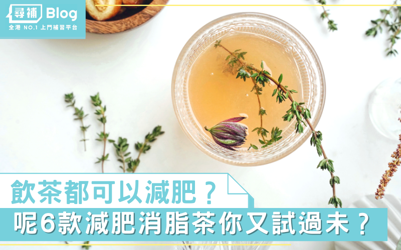 Read more about the article 【減肥茶】飲茶都可以瘦身？6款減肥消脂茶推介！