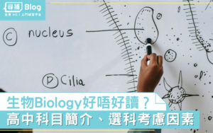 Read more about the article 【中三選科】高中Bio生物好唔好讀？科目簡介、選科考慮因素