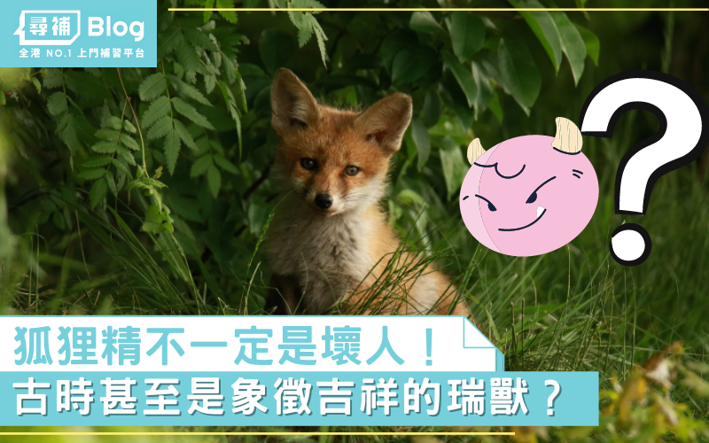 Read more about the article 【文化奇觀】狐狸精不一定代表壞人？甚至曾經代表吉祥？